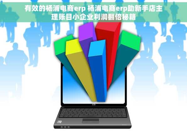 有效的杨浦电商erp 杨浦电商erp助新手店主理账目小企业利润翻倍秘籍
