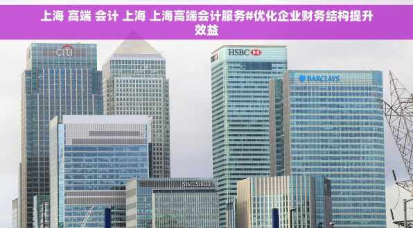 上海 高端 会计 上海 上海高端会计服务#优化企业财务结构提升效益