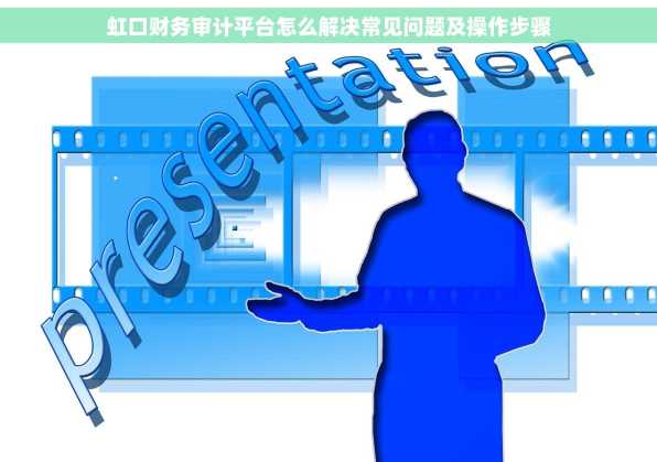 虹口财务审计平台怎么解决常见问题及操作步骤