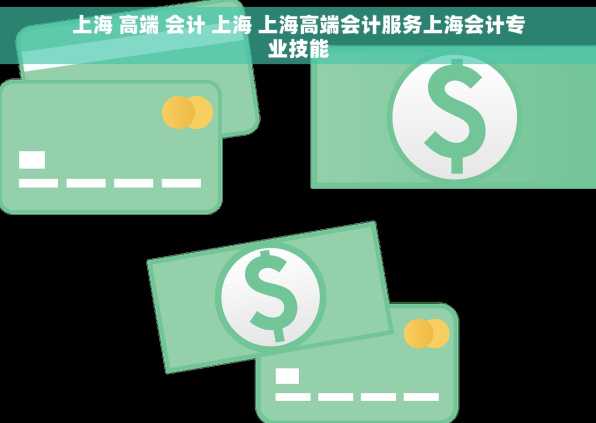 上海 高端 会计 上海 上海高端会计服务上海会计专业技能
