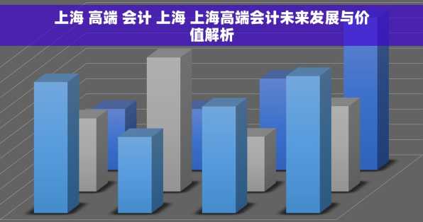 上海 高端 会计 上海 上海高端会计未来发展与价值解析