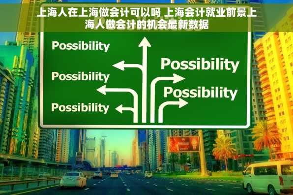 上海人在上海做会计可以吗 上海会计就业前景上海人做会计的机会最新数据