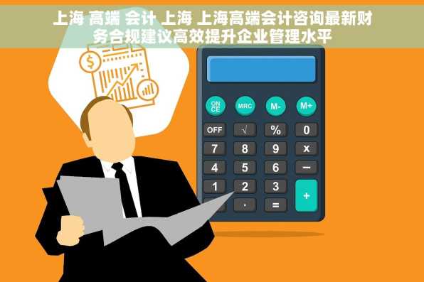 上海 高端 会计 上海 上海高端会计咨询最新财务合规建议高效提升企业管理水平