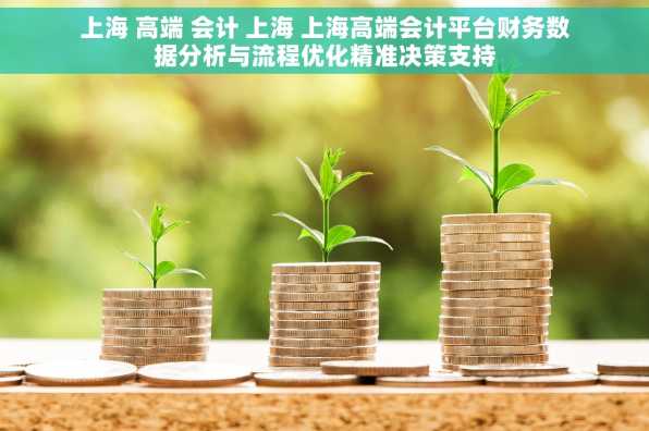上海 高端 会计 上海 上海高端会计平台财务数据分析与流程优化精准决策支持