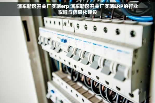浦东新区开关厂实施erp 浦东新区开关厂实施ERP的行业影响与信息化建设