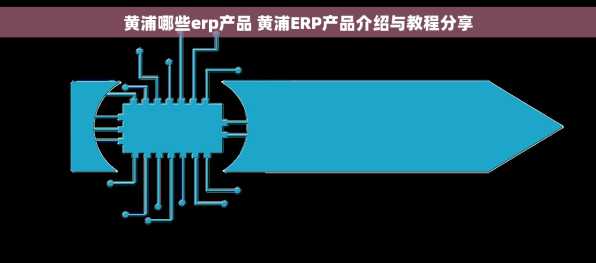 黄浦哪些erp产品 黄浦ERP产品介绍与教程分享