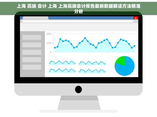 上海 高端 会计 上海 上海高端会计报告最新数据解读方法精准分析
