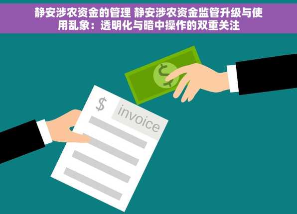 静安涉农资金的管理 静安涉农资金监管升级与使用乱象：透明化与暗中操作的双重关注