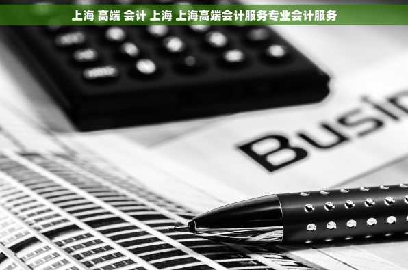 上海 高端 会计 上海 上海高端会计服务专业会计服务