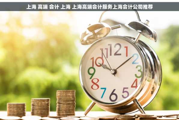 上海 高端 会计 上海 上海高端会计服务上海会计公司推荐