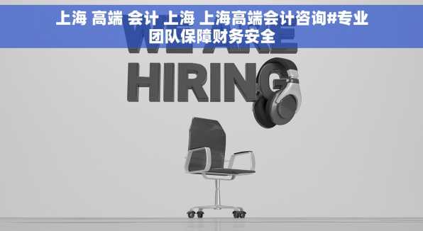 上海 高端 会计 上海 上海高端会计咨询#专业团队保障财务安全