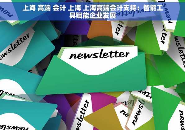 上海 高端 会计 上海 上海高端会计支持：智能工具赋能企业发展