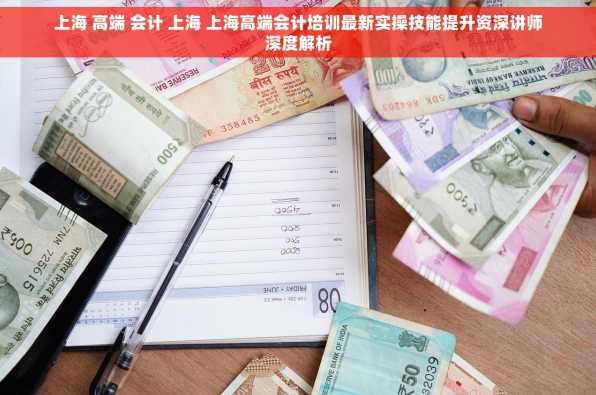 上海 高端 会计 上海 上海高端会计培训最新实操技能提升资深讲师深度解析