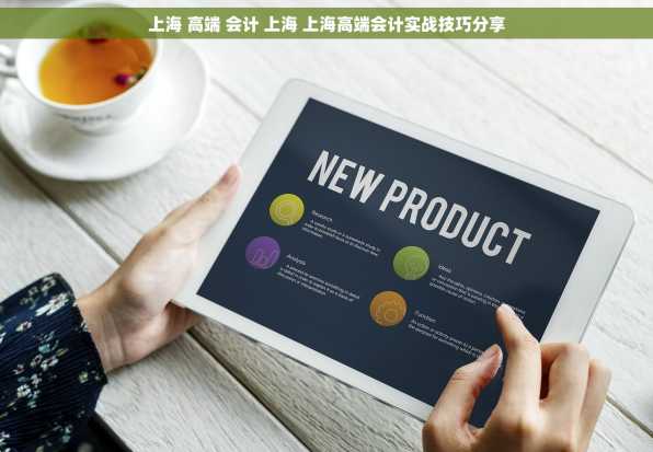 上海 高端 会计 上海 上海高端会计实战技巧分享