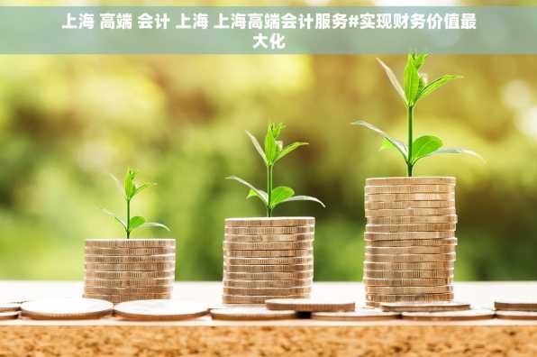 上海 高端 会计 上海 上海高端会计服务#实现财务价值最大化