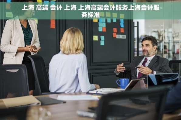 上海 高端 会计 上海 上海高端会计服务上海会计服务标准