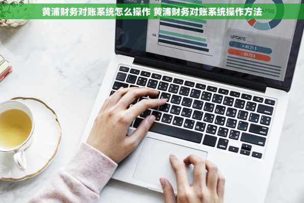 黄浦财务对账系统怎么操作 黄浦财务对账系统操作方法