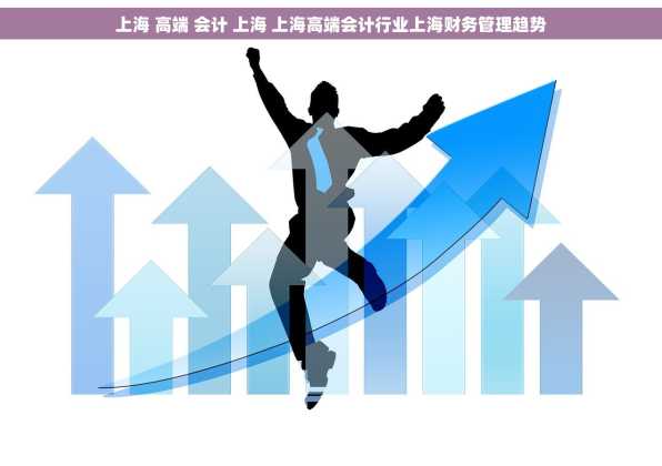 上海 高端 会计 上海 上海高端会计行业上海财务管理趋势