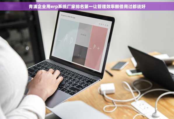 青浦企业用erp系统厂家排名第一让管理效率翻倍用过都说好