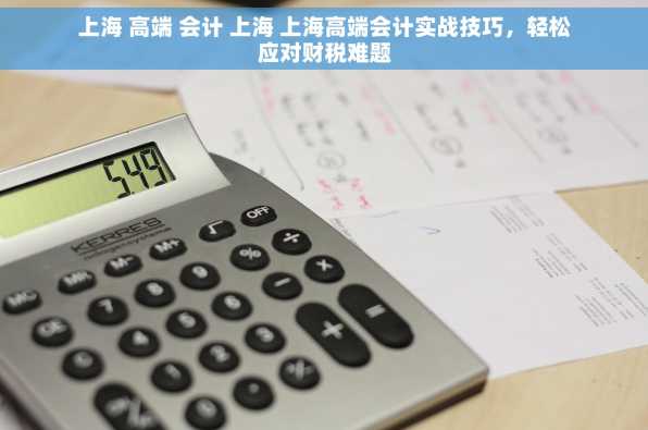 上海 高端 会计 上海 上海高端会计实战技巧，轻松应对财税难题