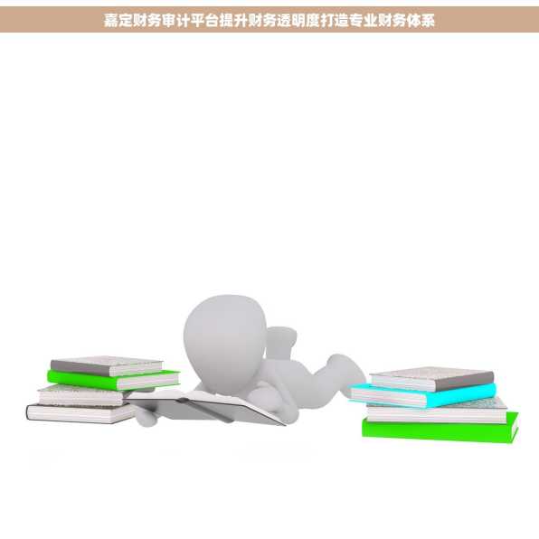 嘉定财务审计平台提升财务透明度打造专业财务体系