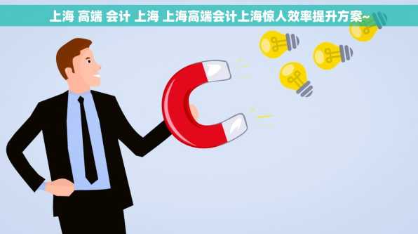 上海 高端 会计 上海 上海高端会计上海惊人效率提升方案~