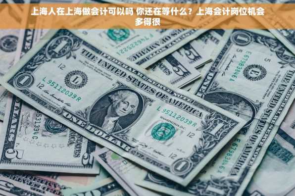 上海人在上海做会计可以吗 你还在等什么？上海会计岗位机会多得很