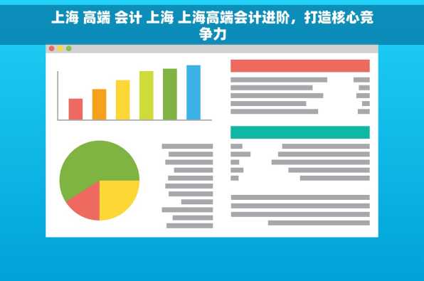 上海 高端 会计 上海 上海高端会计进阶，打造核心竞争力
