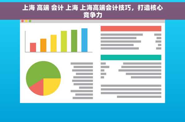 上海 高端 会计 上海 上海高端会计技巧，打造核心竞争力