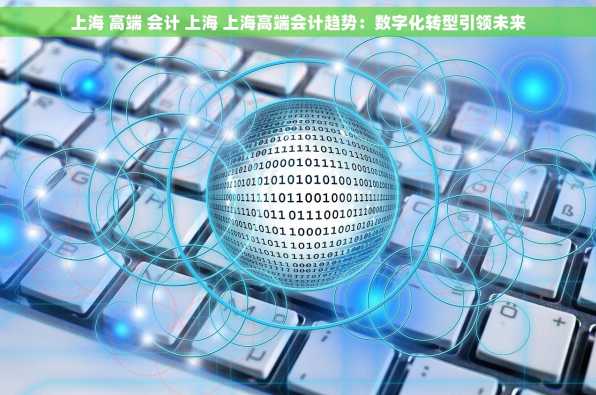 上海 高端 会计 上海 上海高端会计趋势：数字化转型引领未来
