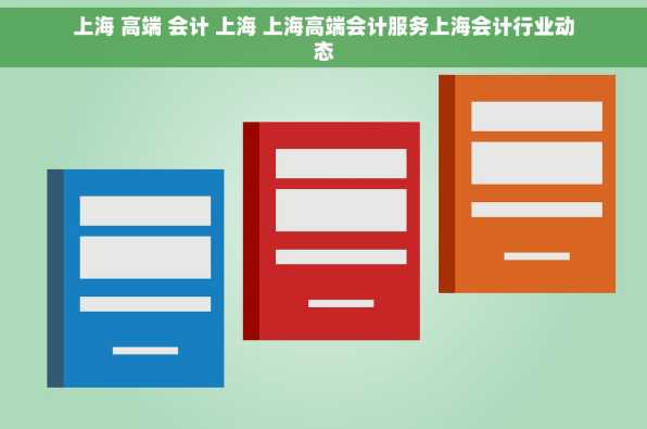 上海 高端 会计 上海 上海高端会计服务上海会计行业动态