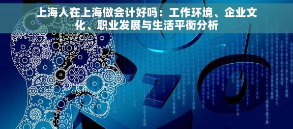 上海人在上海做会计好吗：工作环境、企业文化、职业发展与生活平衡分析