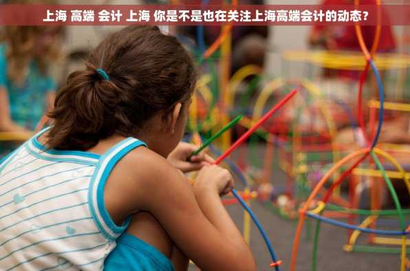 上海 高端 会计 上海 你是不是也在关注上海高端会计的动态？