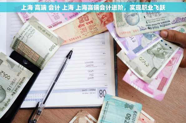 上海 高端 会计 上海 上海高端会计进阶，实现职业飞跃