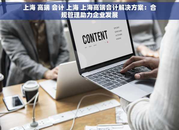 上海 高端 会计 上海 上海高端会计解决方案：合规管理助力企业发展