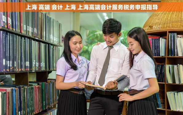 上海 高端 会计 上海 上海高端会计服务税务申报指导