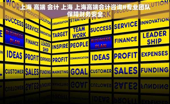 上海 高端 会计 上海 上海高端会计咨询#专业团队保障财务安全