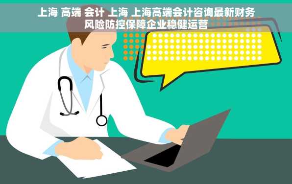 上海 高端 会计 上海 上海高端会计咨询最新财务风险防控保障企业稳健运营