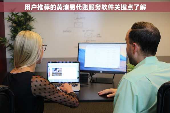 用户推荐的黄浦易代账服务软件关键点了解
