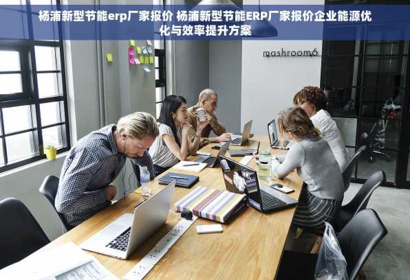 杨浦新型节能erp厂家报价 杨浦新型节能ERP厂家报价企业能源优化与效率提升方案