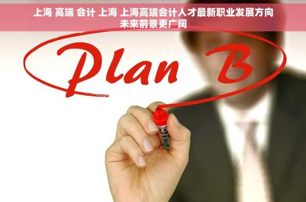 上海 高端 会计 上海 上海高端会计人才最新职业发展方向未来前景更广阔