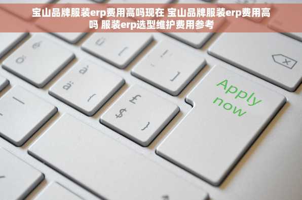 宝山品牌服装erp费用高吗现在 宝山品牌服装erp费用高吗 服装erp选型维护费用参考