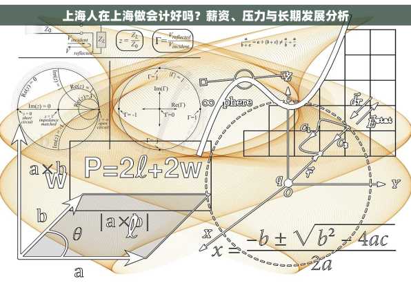 上海人在上海做会计好吗？薪资、压力与长期发展分析