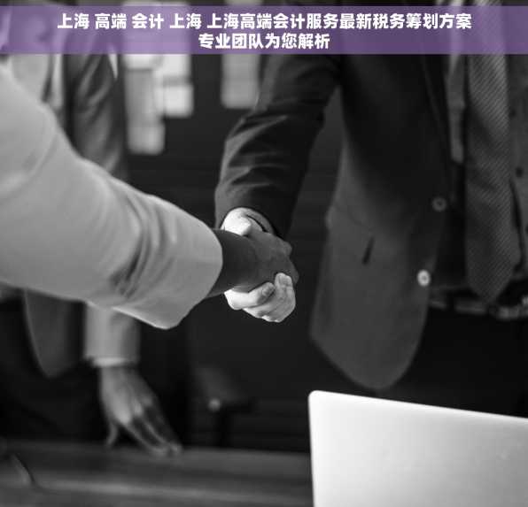 上海 高端 会计 上海 上海高端会计服务最新税务筹划方案专业团队为您解析
