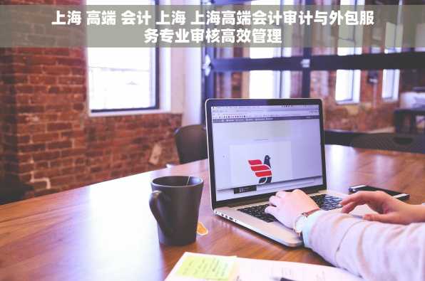 上海 高端 会计 上海 上海高端会计审计与外包服务专业审核高效管理