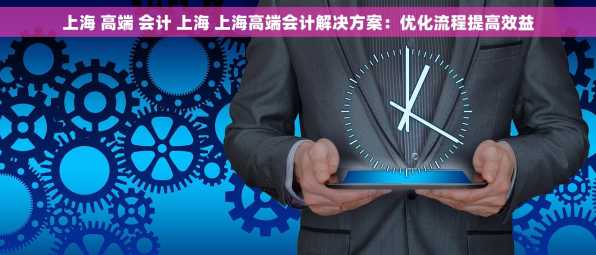 上海 高端 会计 上海 上海高端会计解决方案：优化流程提高效益