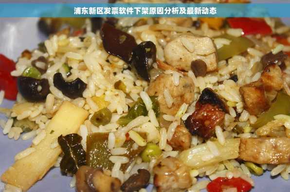 浦东新区发票软件下架原因分析及最新动态