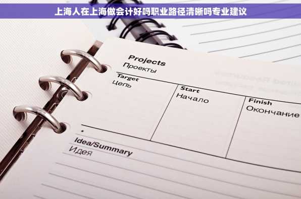 上海人在上海做会计好吗职业路径清晰吗专业建议
