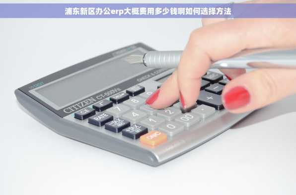 浦东新区办公erp大概费用多少钱啊如何选择方法