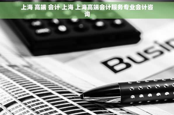 上海 高端 会计 上海 上海高端会计服务专业会计咨询